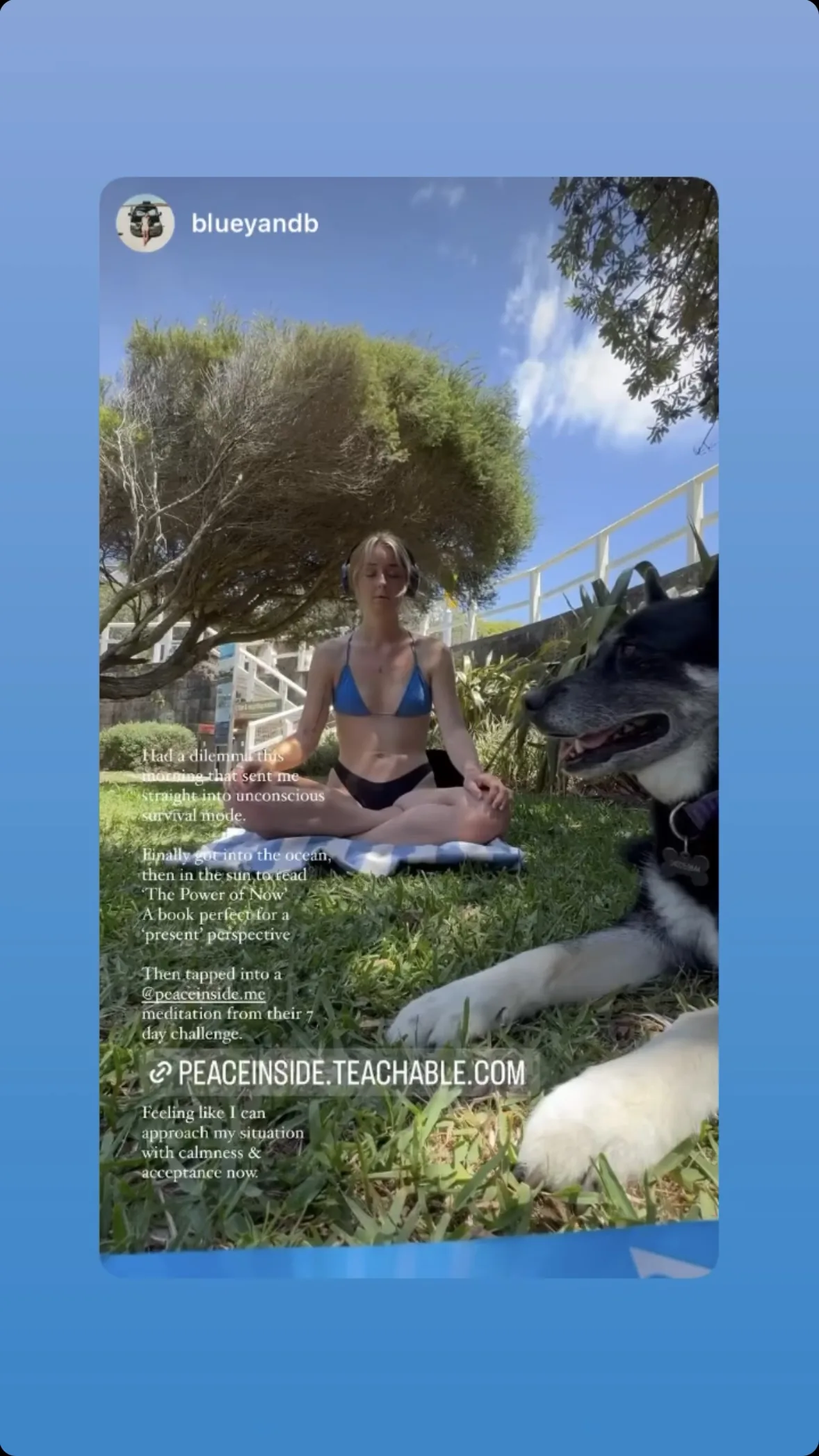 Screenshot of a review of a Peace Inside Me course