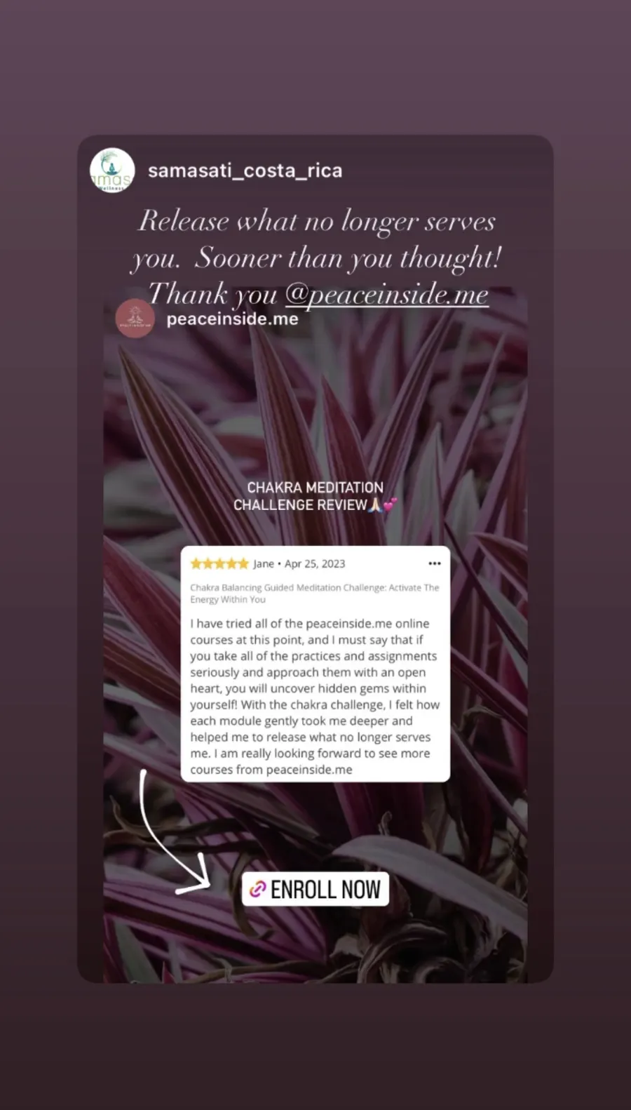 Screenshot of a review of a Peace Inside Me course